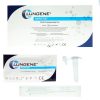 lungene 181