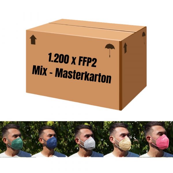 1.200 x FFP2 Mix Masterkarton 4
